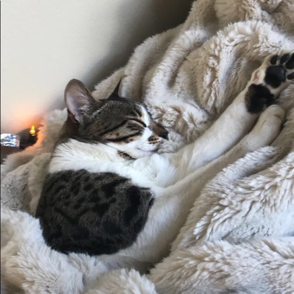 Meet your Posher, Alexis - Picture 1 of 1